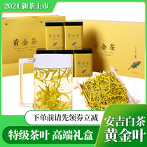 Super gold bud tea gift box high-grade 2021 new tea authentic Anji white tea golden leaf spring tea mountain tea