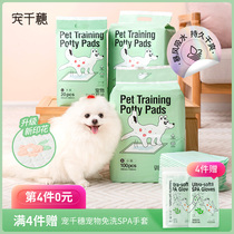 Dog pet diaper pad thick deodorant absorbent pad diaper diaper Teddy supplies 100 piece diaper cat rabbit