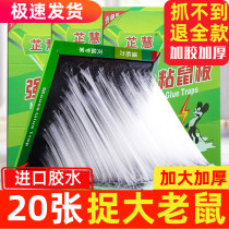 10 sticky mouse board strong adhesive big mouse paste Wang Zhongwang oversized rat trap artifact home to increase a nest end