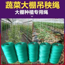 Woven Mesh Wire Polyethylene Wire Fishing Net Braided Wire Nylon Rope Nylon Wire Greenhouse Wire Bundle Repair Network Wire