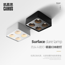 Double-head light downlight four-head square ceiling light bucket bile light spotlight adjustable angle living room without main light lighting