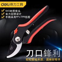 Daili gardening scissors pruning flowers and wood shears fruit branches Orchard Clippers household pruning strong scissors