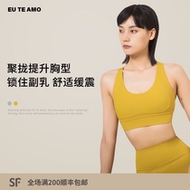 EU TE AMO Sports underwear shockproof running with chest pad Professional yoga vest High strength beauty back