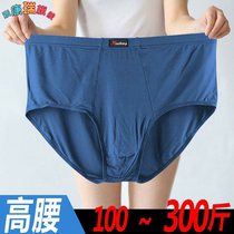 High waist mens underwear big fat son fattening triangular pants Modale cotton Summer loose big code middle-aged and older fathers
