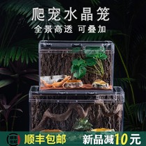 Maned lion lizard feeding box Hermit crab Spider Palace guard horned frog Kun beetle Cricket tree frog Reptile pet ecological tank