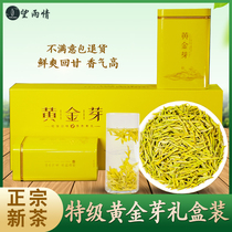 Wangyu golden Bud tea 2021 new tea Ming Qixi Zhejiang Anji selected White Tea Green Tea high-grade gift box
