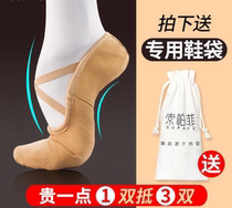 Dance shoes female summer professional new adult cat claw soft bottom ballet yoga dance body lace-free children small