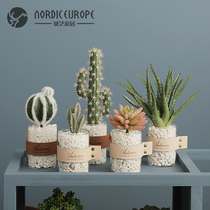 Nordic ins simulation succulent plant potted ornaments home living room decoration green planting cactus small bonsai