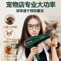 Pet special hair dryer high power pull hair drying large dog bath blow drying hair blowing hair blowing machine