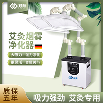(Shuangji)smoke purifier Moxibustion industrial welding smoke solder purification exhaust machine Mobile moxibustion hall smoke removal instrument