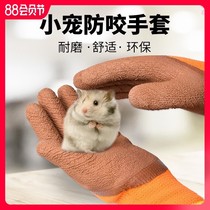 Anti-bite gloves hamster supplies childrens Golden Bear pet small pet squirrel anti-scratch bite training animal cat bite thick