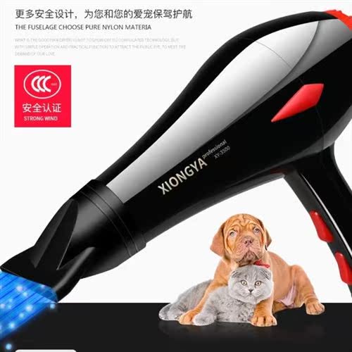 Samoyed landing d hair dryer for dogs High power hair grooming shop Pet mini small large dog pull