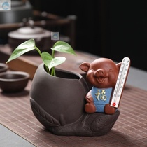 Indoor thermometer decorations living room Yuxuan creative flower with thermometer Fu pig ornaments table green rose Rose