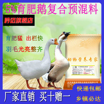 Fatten goose premix goose feed fattening big three flowers Wanxi White Goose lion head goose Ma Gang Langde Xupu goose feed