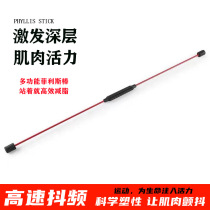 Flix Fitness stretch stick Phyllis stick Phyllis stick Phyllis Tremor stick Fitness training tremor stick