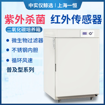 Shanghai one constant carbon dioxide incubator CO2 microbial bacteria constant temperature anaerobic incubator cell anaerobic box
