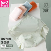 Cat man pregnant woman underwear cotton mid-pregnancy high waist graphene early pregnancy early pregnancy female shorts