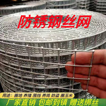 防锈铁丝网围栏拦鸡养鸭圈地防鼠蛇养殖网鱼塘围栏墙体防裂钢丝网
