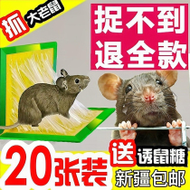 Strong sticky mouse board big mouse paste glue board cage clip dipped mouse artifact increased household Xinjiang