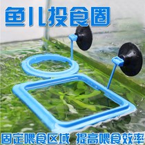 Feeding fish Small automatic feeding fish feeding ring Large fish feeding ring Suspended feed feeding commonly used