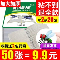 Stick Fly Paper strong sticky fly board killer artifact touch fly mosquito fly fly trap home sweep