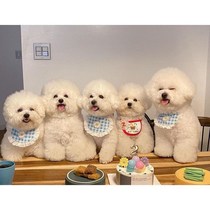Dog saliva towel small fresh public main wind cloth occasionally blue and white English short teddy kiri kitty cat lace with neck accessories