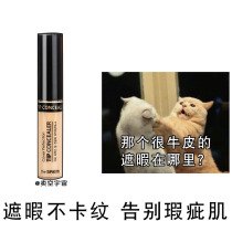 South Korea The Saem Fresh Flawless Cream Powder Bottom to Nourish Moisturizing And Persistent Cover Flagship Store