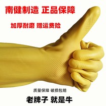 Thickened cow latex laundry housework washing rubber leather gloves wear-resistant female waterproof kitchen durable beef tendon labor insurance