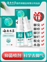 Yunnan materia medica beriberi spray anti-itch peeling sterilization treatment of itchy feet peeling rotten feet ointment Beriberi root removal artifact