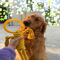 Dog tug-of-war toys molars interactive knots resistant to bite ropes in large dogs