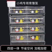 Special cage for Rutin chicken Bold encrypted chick cage Brood cage Breeding chick cage Quail cage Duckling duckling Duckling Duckling Duckling Duckling Duckling Duckling Duckling Duckling Duckling Duckling Duckling Duckling Duckling Duckling