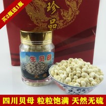 Chinese herbal medicine Sichuan fritillary Songbei pearl Bednut 50 gr bottled selection
