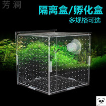 Isolation box fish tank transparent aquarium small fry incubator breeding box production box single and double multi-grid isolation net acrylic