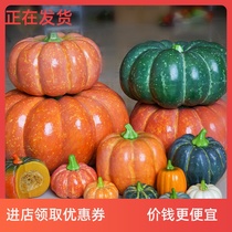 -Simulation pumpkin model plastic fake big pumpkin toy decoration decoration fruit vegetable ornaments props childrens teaching-