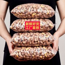 New charcoal burnt cashew kernels 500g containing salt baked cashew nuts dried fruit snacks Vietnam Specialty Box 5g