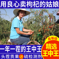 Big Granule Ningxia wolfberry Special Class 500g authentic Zhongning red gown tea bubble male kidney official flagship store