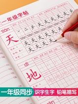 First grade second grade third grade primary school students practice words four five six copybook upper book lower book daily practice daily textbook