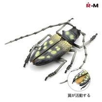 -Simulation specimen model toy refrigerator patch bug insect insect beetle Bee Bee Dragonfly unicorn celestial cow knows locust