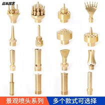 Copper 4 points 6 points with valve universal DC nozzle with switch adjustable direct shot garden garden landscape Square Fountain