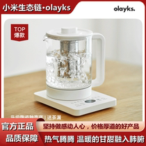 olayks Export original Wellness Pot Home Multifunction Glass Pot Small Fully Automatic Office Cooking Tea