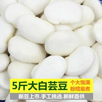 Big white kidney beans new products Yunnan specialty farmers big white beans Baiyun Beans beans miscellaneous grains coarse grains and oil