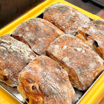 Still bread | Blackcurrant walnut lodave oil-free sugar-free natural yeast bread