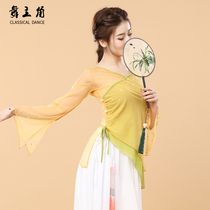 Dance protagonist new classical dance dress female fluttering rhyme Chinese dress practice performance show hantang coat