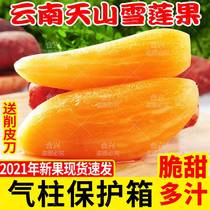 Weight Loss Fruit Spot Yunnan Tianshan Snow Lotus Fruit Fresh Whole Box When Season Red Mud Yellow Heart Special Class Snow Lian Fruits