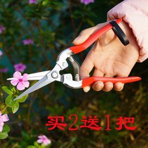 Thickened stainless steel strong garden and gardening pruning shears home Flower picking pepper flower grafting tool