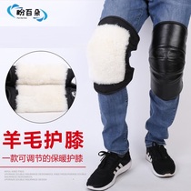 Winter electric motorcycle knee pad leather wool knee pad battery car tram thickened warm spring and autumn Four Seasons riding