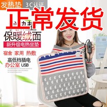 Heating Cushion Office Seat Cushion Warm Feet Bao Heating Theorizer Plug-in Electric Chair Cushion Backrest Integrated Electric Cushion
