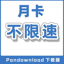 Baidu Internet Disk Unlimited Download Internet Disk File Acceleration svip Super Stable Baidu Computer End Speed-up Monthly Card