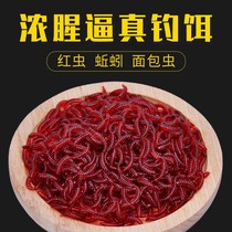 Simulation of earthworms through fish bait red insects bait road carp grass carp fish fishing black pit wild fishing bait killing