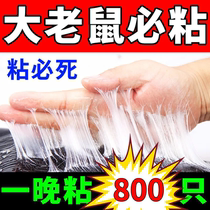 (A stick will die) Chunhe sticky mouse board strong adhesive Big Mouse King King killing rat and catching mouse artifact